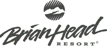 Brain Head Logo