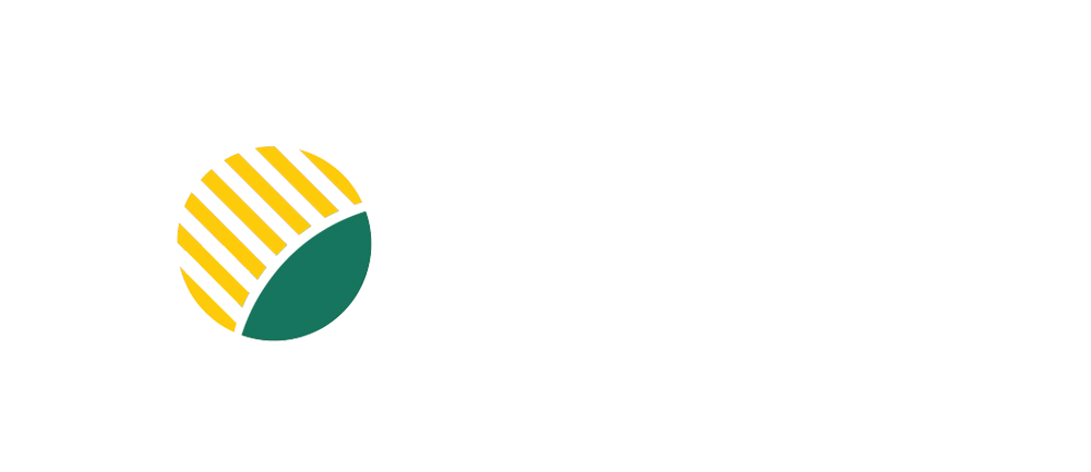 SOl-Up-100x433
